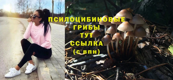 mix Алексин