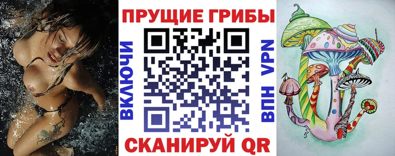 Галлюциногенные грибы Psilocybe  Трубчевск 